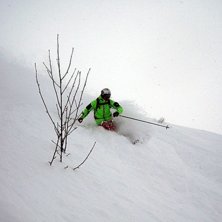 Sk&ouml;n &aring;kning p&aring; Galzig med lite buskar som riktm. Foto: Steffe Jonasson. &Aring;kare: Robert Hortlund.