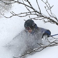 Foto: S Hackstr&ouml;m. &Aring;kare: Henrik.