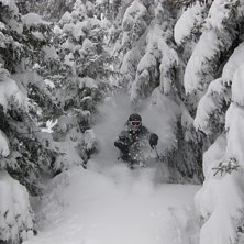 Lite sk&ouml;n skogsakning.. Foto: Per H. &Aring;kare: Johan A.