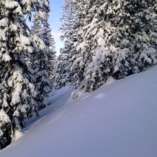 Foto: Mountain Man.