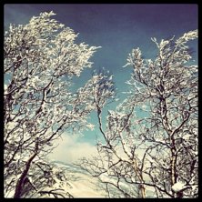 Foto: hampusfj&auml;llstedt.