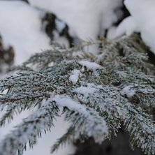 Foto: Linn &Ouml;stlund.