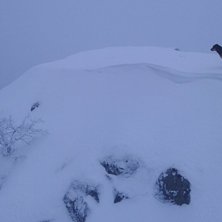 Toppen av r&auml;nnan, med skutta l&auml;ngtansfullt spana. Foto: tryggve tiren.