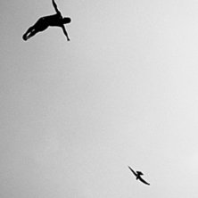 Foto: Samo Vidic. &Aring;kare: Jorge Ferzuli.