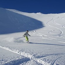 Foto: G&ouml;ran Eriksson. &Aring;kare: Birk S&ouml;&ouml;di.