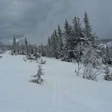 Set sn&oslash;r!
Det sn&oslash;r p&aring; fjellet i dag! Velkommen .