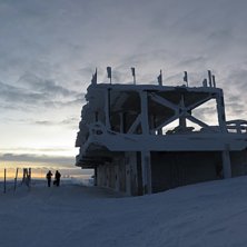 Skurkn&auml;stet p&aring; toppen. Foto: tryggve tir&eacute;n.