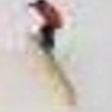 Print screen fr&aring;n kl&auml;ppen redline via webkamera . Foto: Linus. &Aring;kare: Fille.