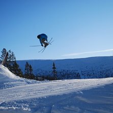 360 (mute?) i bj&ouml;rnrike. Foto: Josefin Sandberg. &Aring;kare: Simon Blad.