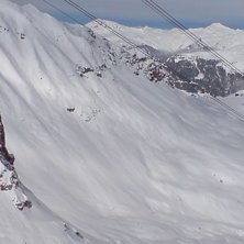 En vacket or&ouml;rd brant .... Foto: Jag.