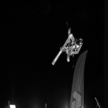 Foto: Gustav Hall&eacute;n. &Aring;kare: Sammy .