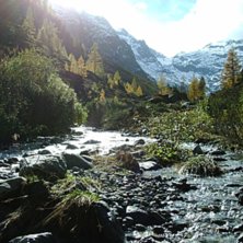 Foto: Carro Holmqvist.