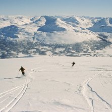 H&ouml;gt upp p&aring; berget hittade vi en or&ouml;rd, homogen. Foto: -. &Aring;kare: Michael Spendel.