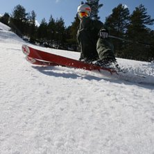 pimp. Foto: Agnes M&ouml;ller Andersen. &Aring;kare: Jesper Hayland.