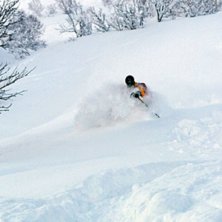 Foto: Ulf Enarsson. &Aring;kare: Nils J&ouml;nsson.