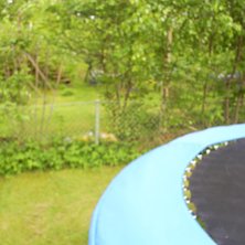 bivisar f&ouml;r kjell-ner att tr&auml;den inte slutar d&auml;. Foto: adam. &Aring;kare: ingen.