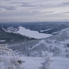 Foto: Martin. &Aring;kare: Martin.