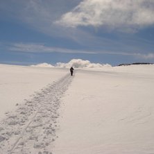 &Aring;kare: Helen Backlund.