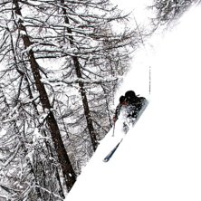 mycket sn&ouml;, och finfin sikt i skogen. Foto: Simen Sundt. &Aring;kare: Bj&ouml;rn Pettersson.