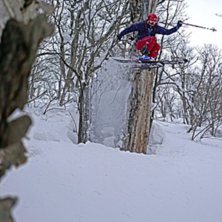 &ldquo;TreeSkiing&rdquo;!!... in Jackson Area Niseko. Foto: J Molin. &Aring;kare: R. Hortlund.