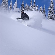 &Auml;ntrar skogen efter T1.. Foto: g&ouml;ran m&aring;nsson. &Aring;kare: Erik Pernestam.