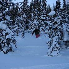 Foto: Jessica Nordlander. &Aring;kare: Andreas Lindroth.