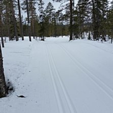 Botten av &aring;ket. Staka dig bort l&auml;ngs l&auml;ngdsp&aring;r.