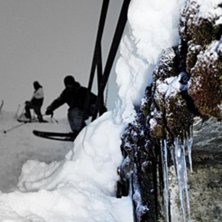 Foto: christoffer str&ouml;m. &Aring;kare: william kristiansson.