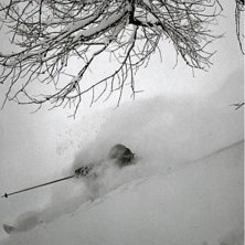 H&auml;rliga puder.. Foto: Martin. &Aring;kare: Bj&ouml;rn .