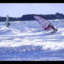 Foto: Magnus Svensson. &Aring;kare: ????.