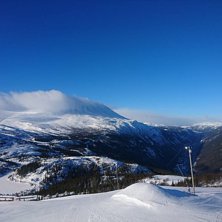 Mildt og godt
Med bilde fra g&aring;rsdagen &oslash;nsker vi .