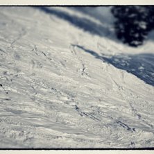 Foto: Jonas Johansson.