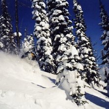 Foto: Daniel Nilsson. &Aring;kare: H&aring;kan Mattsson.