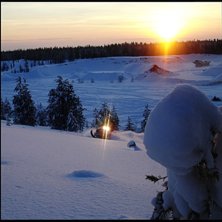 Mycke sn&ouml; vare! ;)

synd bara att alles skoter . Foto: Simon Pont&eacute;r. &Aring;kare: Alexander &Ouml;hman.