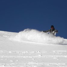 Guld!. Foto: Rydas. &Aring;kare: Elin.