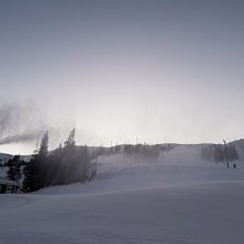 Produksjon til parken
N&aring; f&aring;r vi endelig produser.