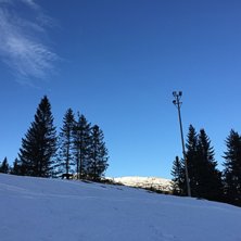 Vi venter p&aring; kulda...❄️❄️❄️
.