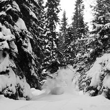 Pillow. Foto: Christoffer G&ouml;the. &Aring;kare: Patric Karlsson.