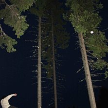 Blunt. Foto: Robin Shalin. &Aring;kare: Elias Holmberg.