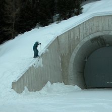halvriskabelt . . Foto: fredrik liv&aring;. &Aring;kare: kalle.