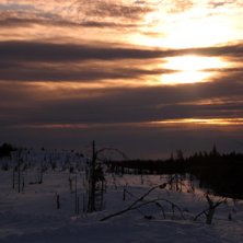 Foto: hampus johansson.