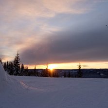 Cork 5 Rev nosemute. Foto: Even Sigstad. &Aring;kare: Gabriel Gallardo.