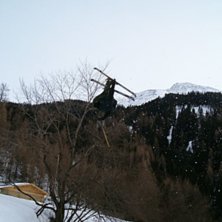 Foto: Wenis eller n&aring;n. &Aring;kare: Al....