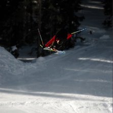 nosgrabbbbb. Foto: Jon Axelsson. &Aring;kare: Eric Johansson.