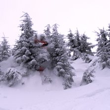 Foto: Tor-Einar Wahl. &Aring;kare: Jonas Tretli.