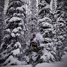 South bowl, Revelstoke BC. Foto: Oskar Wagrelius. &Aring;kare: Erik Tapper.