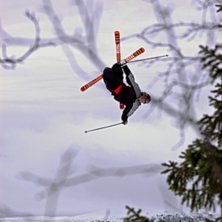 En gammal h&auml;rlig mutegrab. Uppochned. Jonas sure . Foto: Jonas Collen. &Aring;kare: Jim JohansSon Wolf.