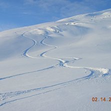 De f&ouml;rsta sv&auml;ngarna i ett or&ouml;rt Svarta Bj&ouml;rn! . Foto: Mikael Heljelid. &Aring;kare: Jag och Palle.