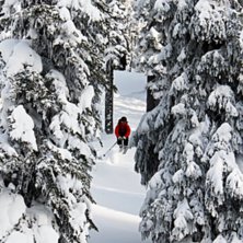 Foto: Viktor Sundvall. &Aring;kare: Jesper Hermodsson.