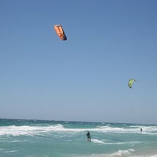 kite in Australia. Foto: Adam lindgren. &Aring;kare: joey.